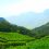6 Best Hill Stations in Kerala – Know Immense Beauty of Kerala
