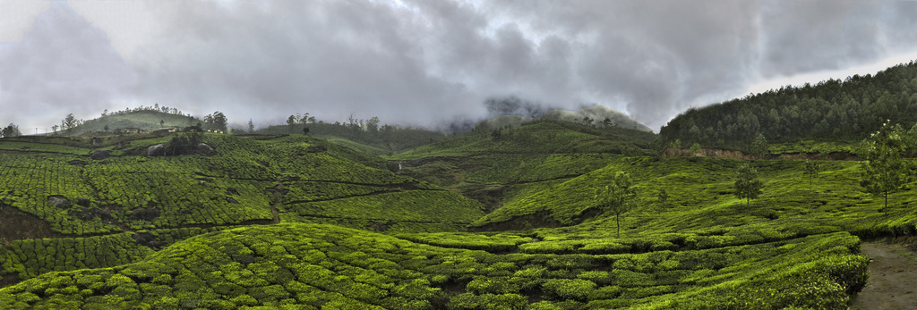 Munnar Hill Station in Monsoon