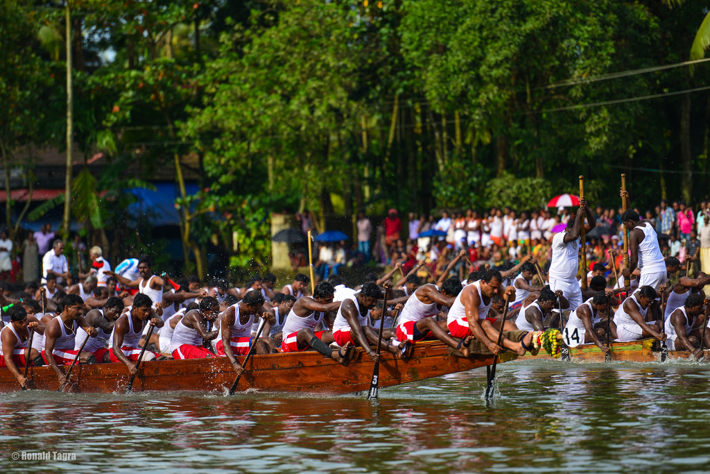 nehru trophy boat race