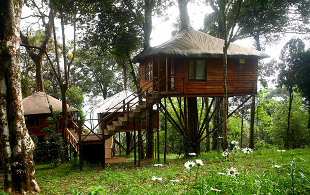 Tree House in Munnar Kerala