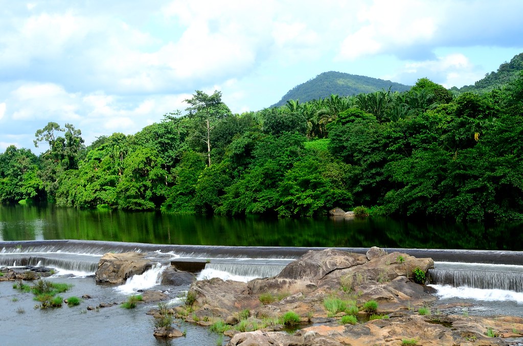 Thumboormuzhi-garden