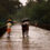 Why You Should Visit Kerala in the Monsoon Season