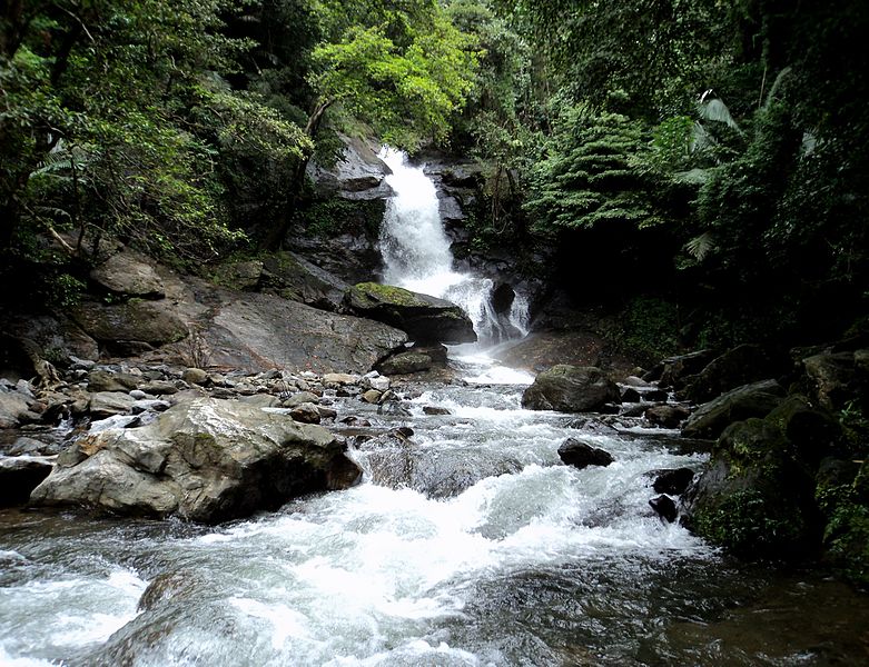 Meenvallam Waterfall Kerala