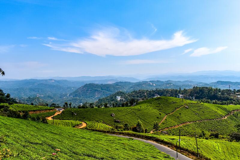 Munnar - Most Popular place for Couple