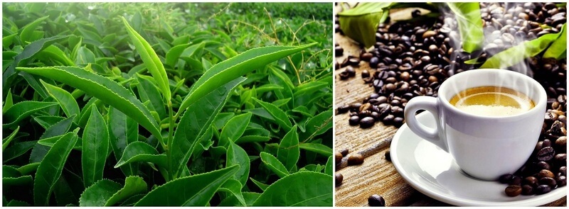 Tea & Coffee from Kerala