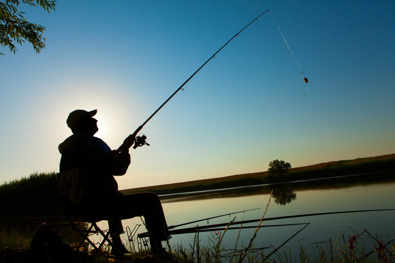 Go Fishing