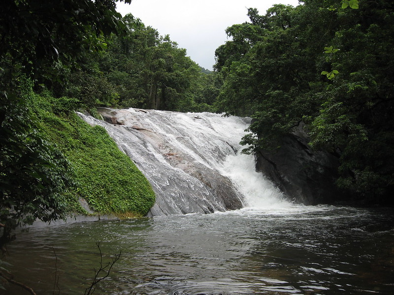 Perunthenaruvi Waterfalls Kerala