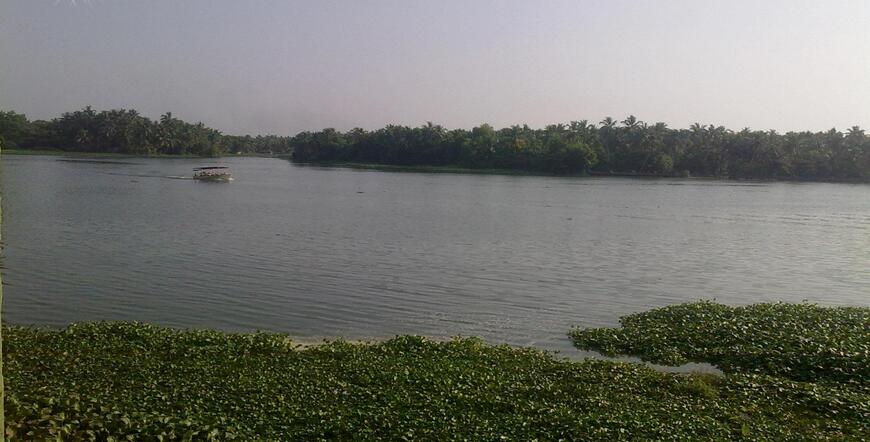 Akkulam Lake-one-of-the popular- tourist-places-in-trivandrum