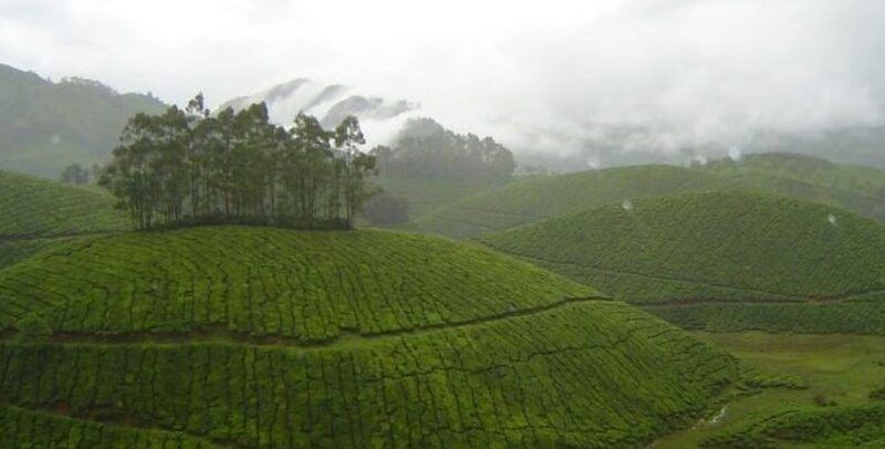 Munnar