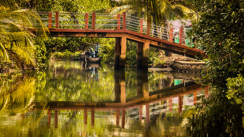 Munroe or Alleppey Backwaters