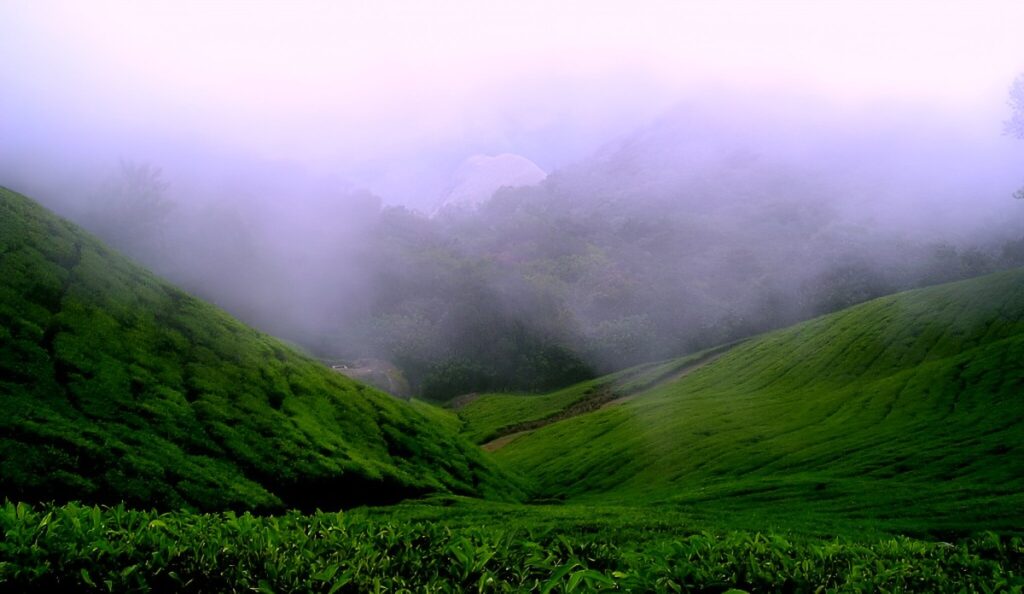 Munnar Attractions