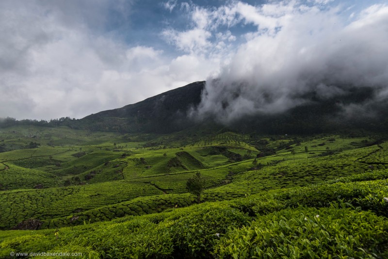 Munnar Hill Station during Monsoon