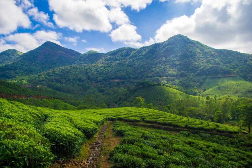 Vagamon or Munnar
