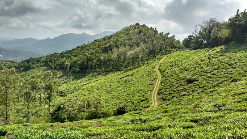 Wayanad Hill Station