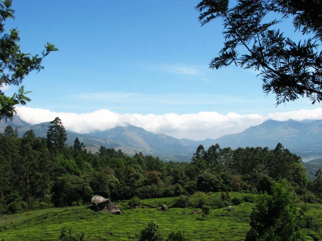 Munnar Hill Station