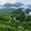 12 Best Places to Visit in Kerala During Monsoon for Nature Lovers