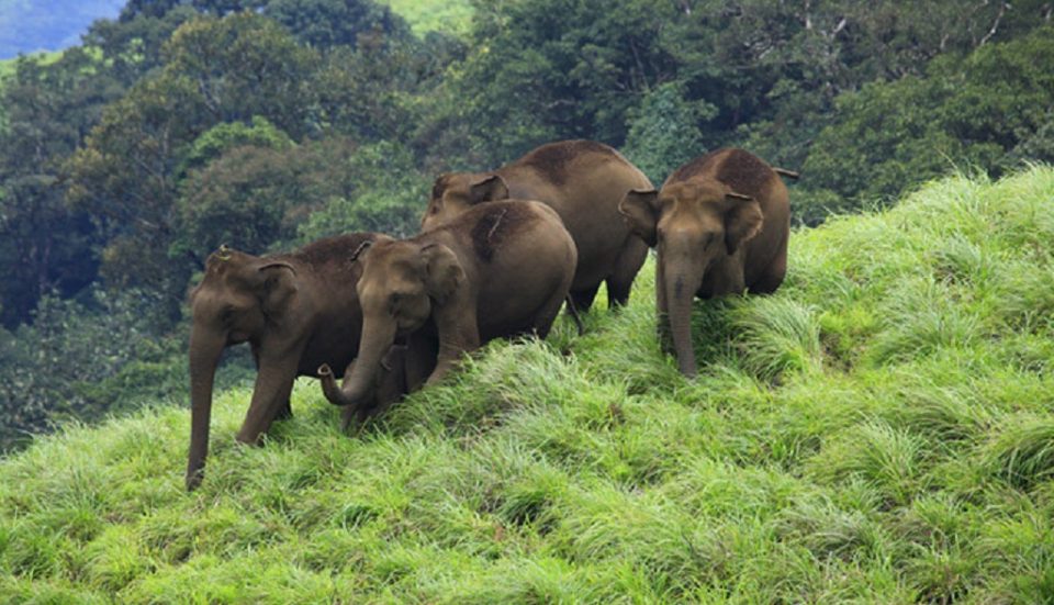One Day Trip From Trivandrum To Kanyakumari Route Travel Guide one-day-trip-from-trivandrum-to-kanyakumari-route-travel-guide