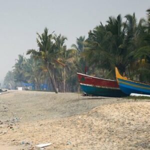 3 Nights 4 Days Alleppey and Munnar Tour Package from Kochi