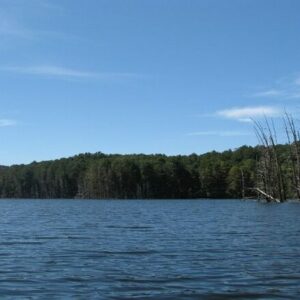 5 Nights 6 Days Kodaikanal, Kochi, Munnar, and Alleppey Tour Package