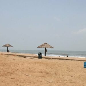 5 Nights 6 Days Kerala Tour (Munnar,Thekkedy, Alleppey, Kochi, Cherai Beach) Package