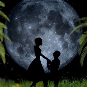 Romantic Kerala Honeymoon Package