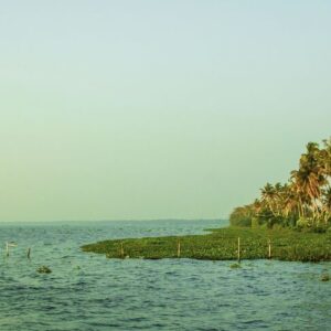 Romantic Kerala Honeymoon Package