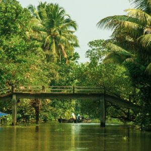 Romantic Kerala Honeymoon Package