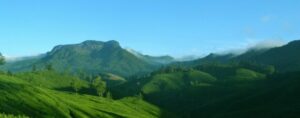 Munnar-honeymoon-destination-for-couples