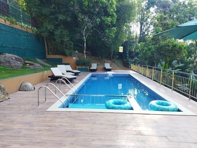 Bamboo dale resort tree house3