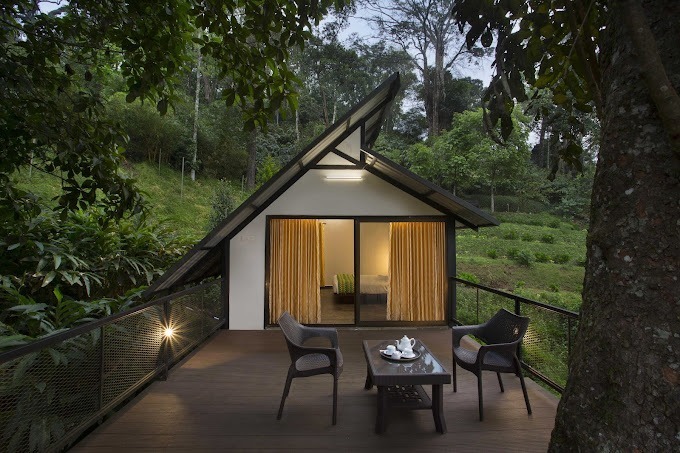 Bamboo dale resort tree house Bamboo Dale Resort Tree House