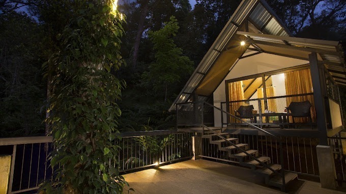 Bamboo dale resort tree house6