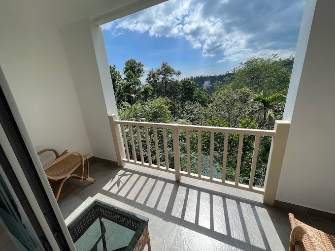 Chandy Windy Woods10