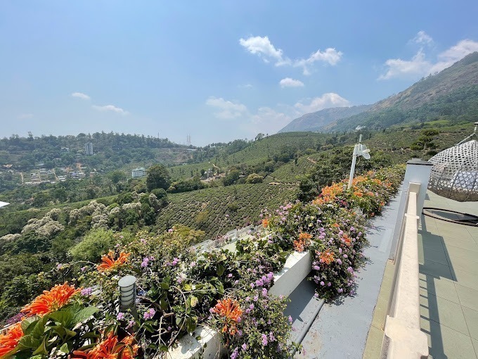 Chandy Windy Woods11