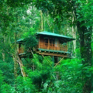 Dream Catcher Resort Tree House in Munnar