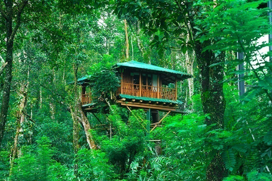 Dream Catcher Resort Tree House in Munnar Dream Catcher Resort Tree House in Munnar