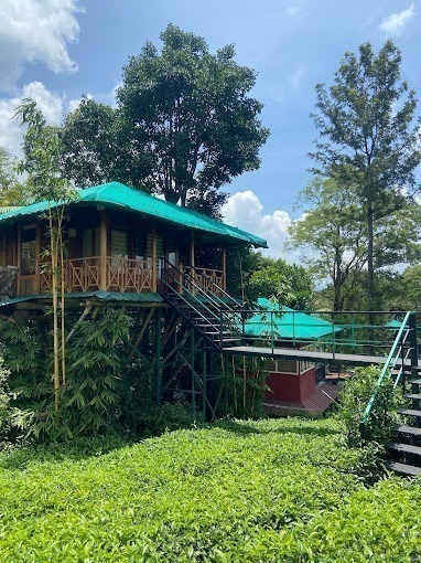 Dream catcher resort tree house2