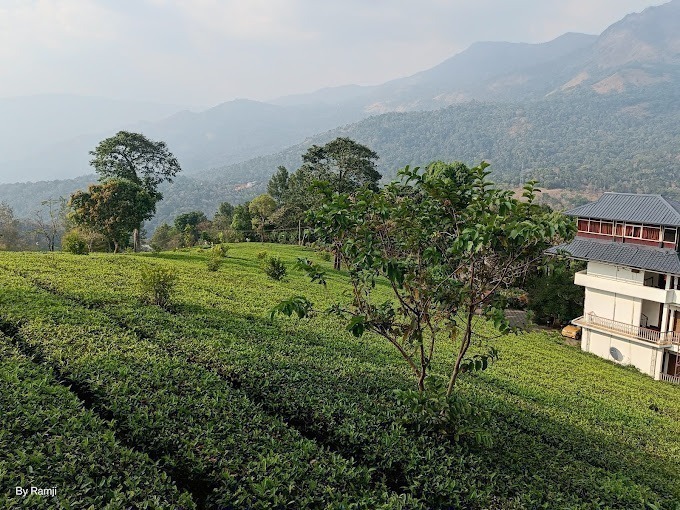 Dream catcher resort tree house5
