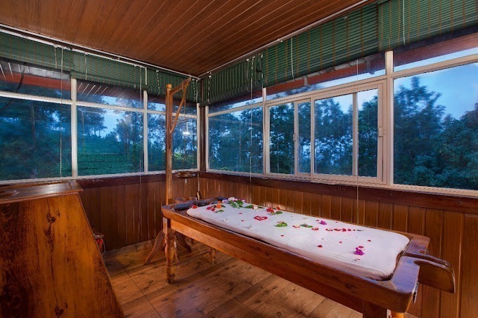 Dream catcher resort tree house9