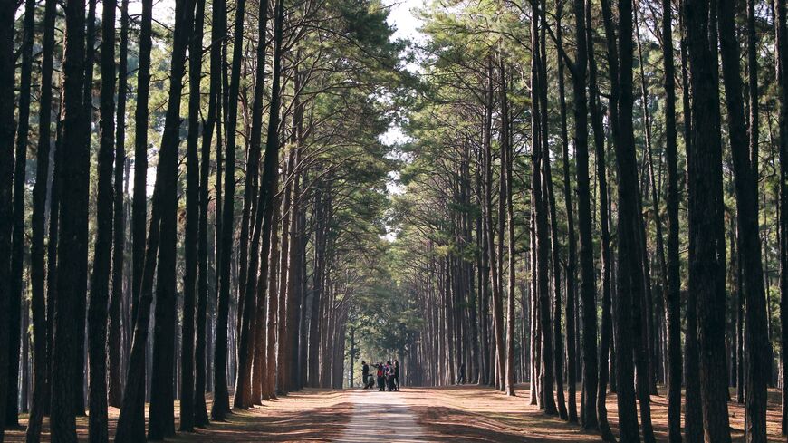 Munnar-Camping-Adventure