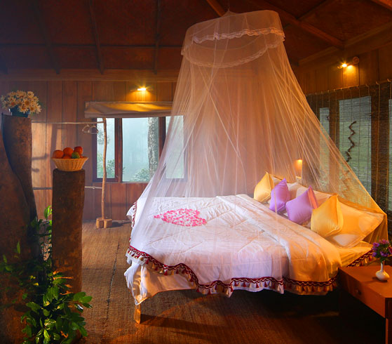 Nature Zone Resort Tree House6