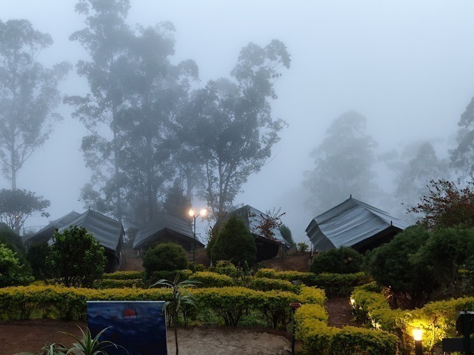 Nature Zone Resort Tree House9