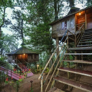 Nature zone resort tree house