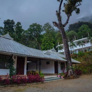 Seven Spring Resort Tree House