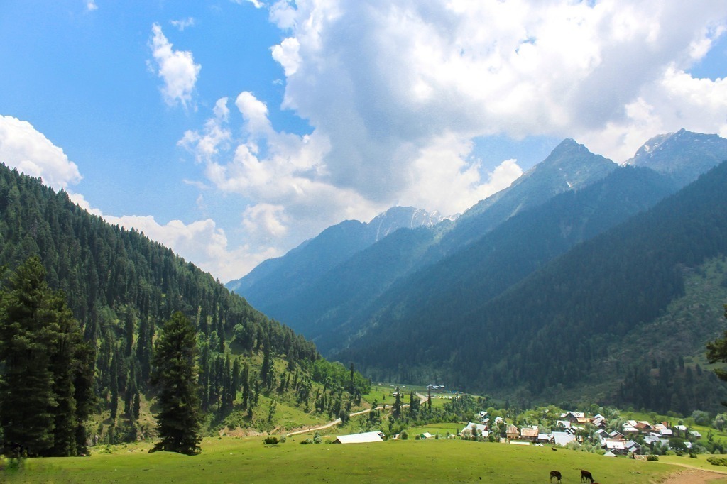 Pahalgam-Kashmir-86822-pixahive (1)